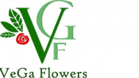 VeGa Flowers